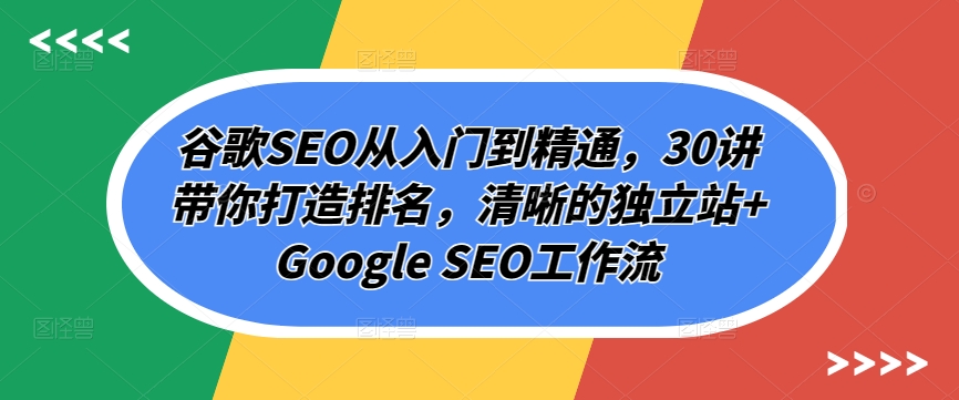 谷歌SEO从入门到精通，30讲带你打造排名，清晰的独立站+Google SEO工作流_双星网创_创业赚钱_抖音教程_短视频教程