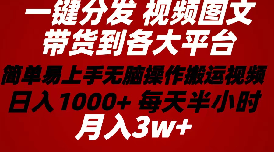 （10667期）2024年 一键分发带货图文视频  简单易上手 无脑赚收益 每天半小时日入1…_双星网创_创业赚钱_抖音教程_短视频教程