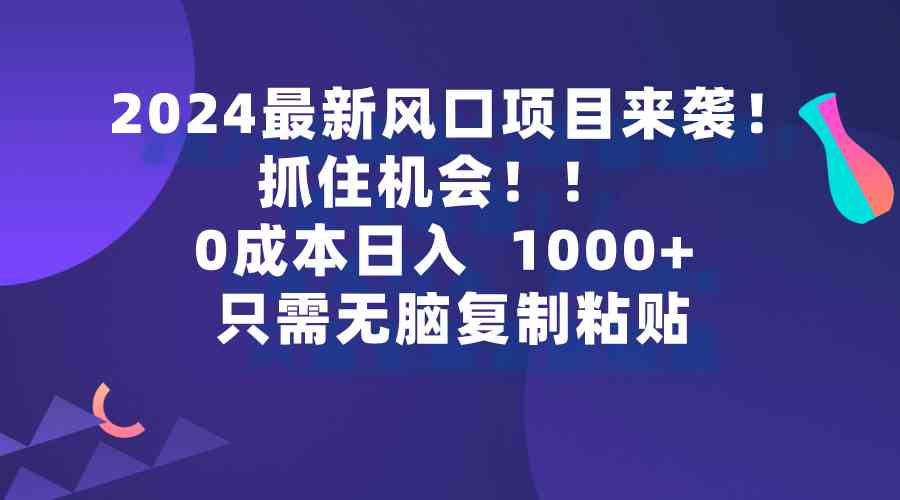 （9899期）2024最新风口项目来袭，抓住机会，0成本一部手机日入1000+，只需无脑复…_双星网创_创业赚钱_抖音教程_短视频教程