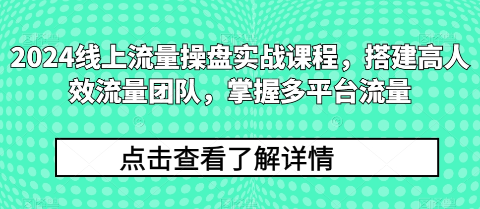2024线上流量操盘实战课程，搭建高人效流量团队，掌握多平台流量_双星网创_创业赚钱_抖音教程_短视频教程