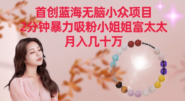 首创蓝海无脑小众项目，2分钟暴力吸粉小姐姐富太太，月入几十万_双星网创_创业赚钱_抖音教程_短视频教程