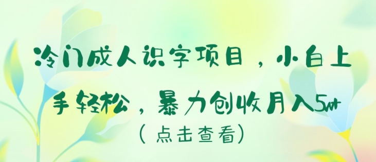 冷门成人识字项目，小白上手轻松，暴力创收月入5w+_双星网创_创业赚钱_抖音教程_短视频教程