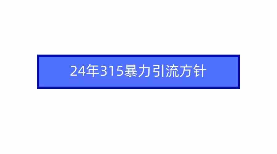 （9398期）2024年315暴力引流方针_双星网创_创业赚钱_抖音教程_短视频教程