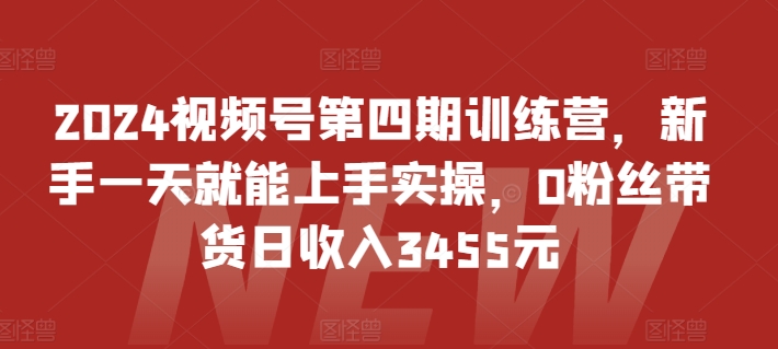 2024视频号第四期训练营，新手一天就能上手实操，0粉丝带货日收入3455元_双星网创_创业赚钱_抖音教程_短视频教程