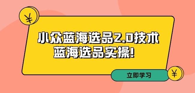 拼多多培训第33期：小众蓝海选品2.0技术-蓝海选品实操！_双星网创_创业赚钱_抖音教程_短视频教程