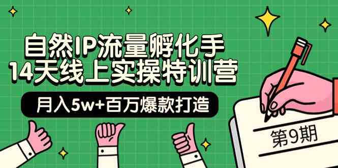 自然IP流量孵化手14天线上实操特训营【第9期】月入5w+百万爆款打造 (74节)_双星网创_创业赚钱_抖音教程_短视频教程