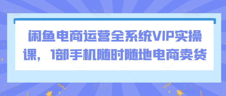闲鱼电商运营全系统VIP实操课，1部手机随时随地电商卖货_双星网创_创业赚钱_抖音教程_短视频教程