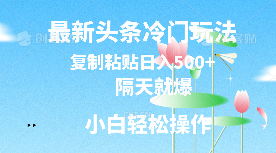 最新头条冷门玩法，隔天就爆，复制粘贴日入500+_双星网创_创业赚钱_抖音教程_短视频教程