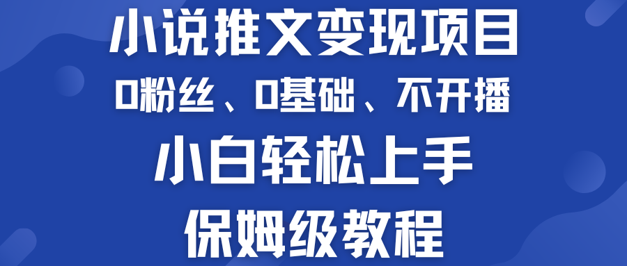 小说推文变现项目 0基础 不开播 小白轻松上手 保姆级教程_双星网创_创业赚钱_抖音教程_短视频教程