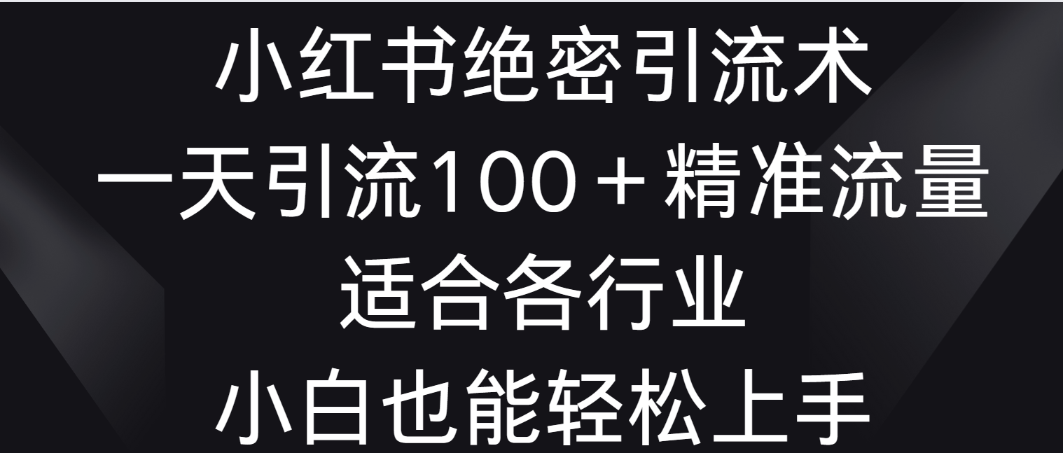 小红书绝密引流术，一天引流100＋精准流量，适合各个行业，小白也能轻松上手_双星网创_创业赚钱_抖音教程_短视频教程