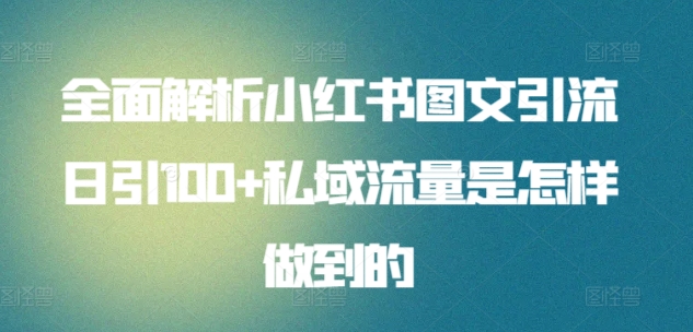 全面解析小红书图文引流日引100+私域流量是怎样做到的_双星网创_创业赚钱_抖音教程_短视频教程