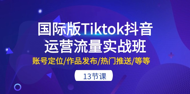（10712期）国际版Tiktok抖音运营流量实战班：账号定位/作品发布/热门推送/等等-13节_双星网创_创业赚钱_抖音教程_短视频教程