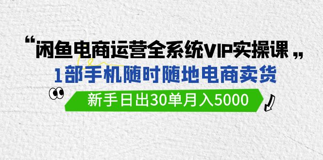闲鱼电商运营全系统VIP实战课，1部手机随时随地卖货，新手日出30单月入5000_双星网创_创业赚钱_抖音教程_短视频教程