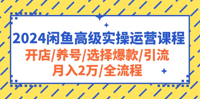 （10711期）2024闲鱼高级实操运营课程：开店/养号/选择爆款/引流/月入2万/全流程_双星网创_创业赚钱_抖音教程_短视频教程