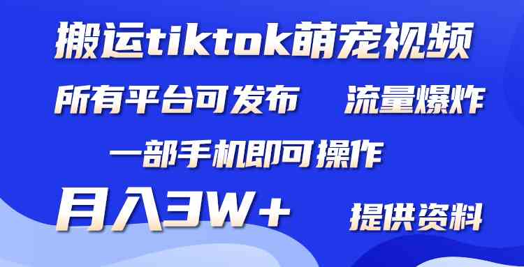 （9618期）搬运Tiktok萌宠类视频，一部手机即可。所有短视频平台均可操作，月入3W+_双星网创_创业赚钱_抖音教程_短视频教程