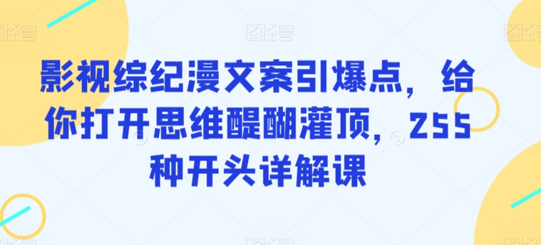 影视综纪漫文案引爆点，给你打开思维醍醐灌顶，255种开头详解课_双星网创_创业赚钱_抖音教程_短视频教程