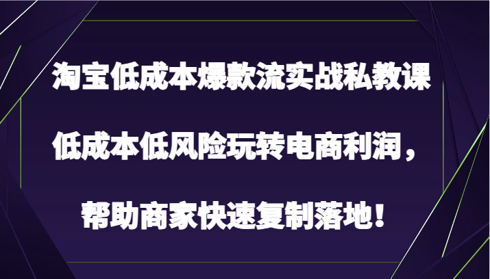 淘宝低成本爆款流实战私教课，低成本低风险玩转电商利润，帮助商家快速复制落地！_双星网创_创业赚钱_抖音教程_短视频教程