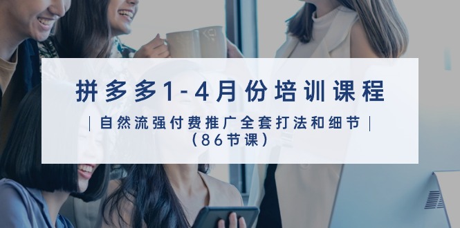 拼多多1-4月份培训课程，自然流强付费推广全套打法和细节（86节课）_双星网创_创业赚钱_抖音教程_短视频教程