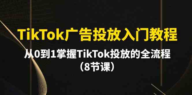 TikTok广告投放入门教程，从0到1掌握TikTok投放的全流程（8节课）_双星网创_创业赚钱_抖音教程_短视频教程