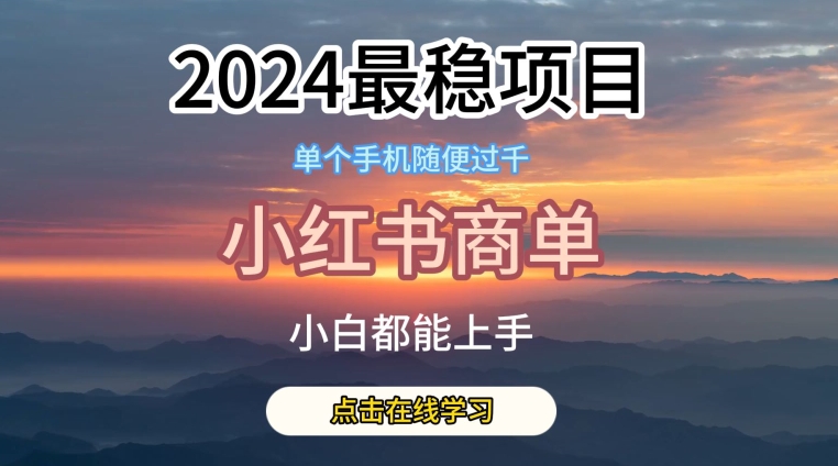 2024最稳蓝海项目，小红书商单项目，没有之一_双星网创_创业赚钱_抖音教程_短视频教程