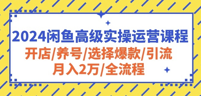 2024闲鱼高级实操运营课程：开店/养号/选择爆款/引流/月入2万/全流程_双星网创_创业赚钱_抖音教程_短视频教程