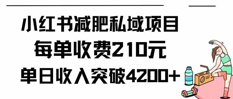 （9466期）小红书减肥私域项目每单收费210元单日成交20单，最高日入4200+_双星网创_创业赚钱_抖音教程_短视频教程