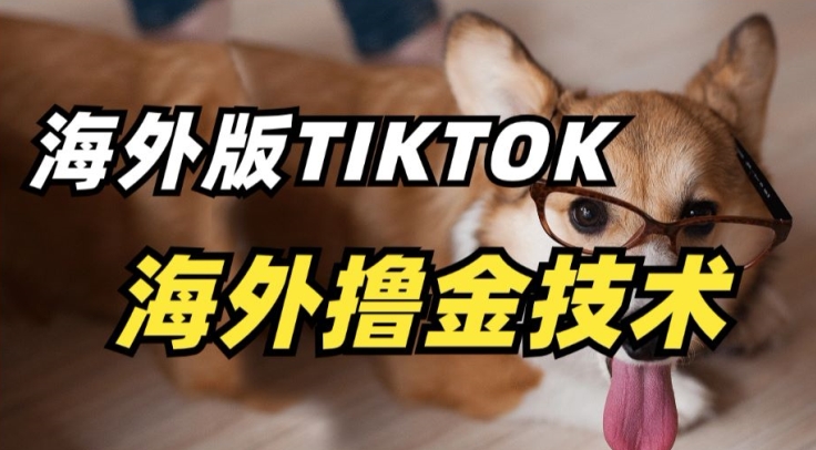 抖音海外版tiktok撸金技术，这个风口行业，赚钱真的不难_双星网创_创业赚钱_抖音教程_短视频教程