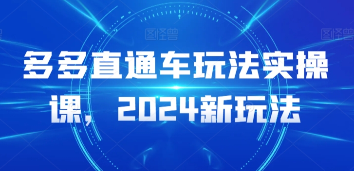 多多直通车玩法实操课，2024新玩法_双星网创_创业赚钱_抖音教程_短视频教程