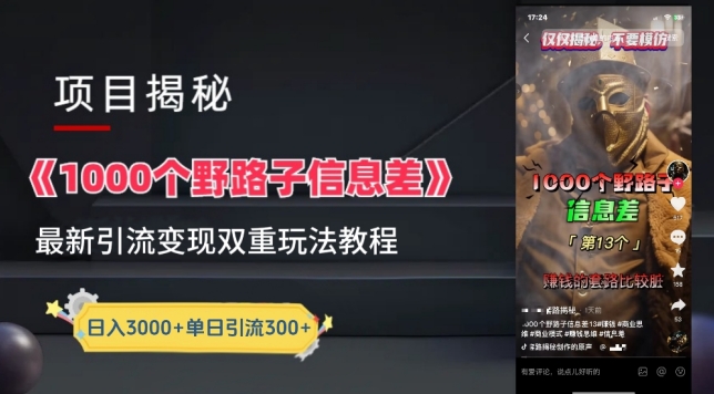 一千个野路子信息差最新玩法教程-变现+引流的玩法具体拆解_双星网创_创业赚钱_抖音教程_短视频教程