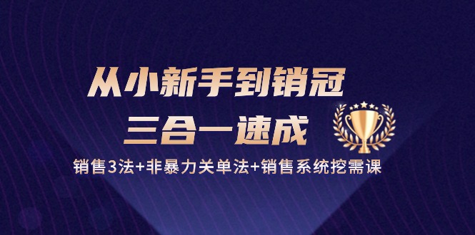 从小新手到销冠三合一速成：销售3法+非暴力关单法+销售系统挖需课 (27节)_双星网创_创业赚钱_抖音教程_短视频教程
