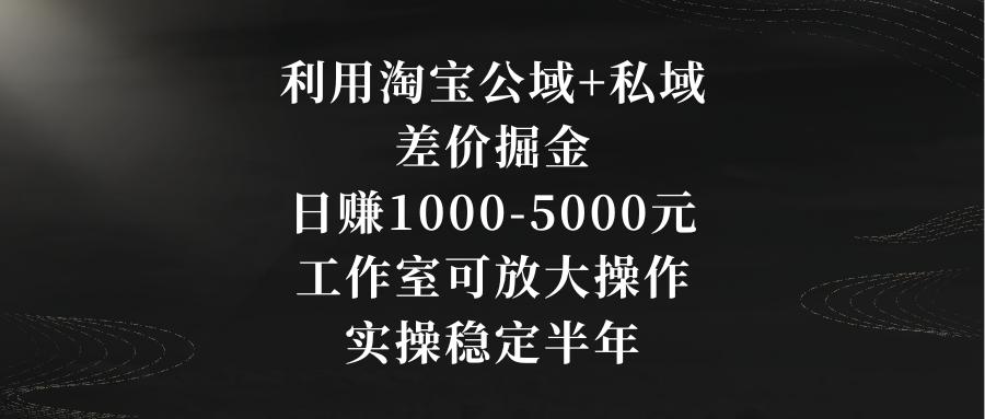 利用淘宝公域+私域差价掘金，日赚1000-5000元，工作室可放大操作，实操…_双星网创_创业赚钱_抖音教程_短视频教程