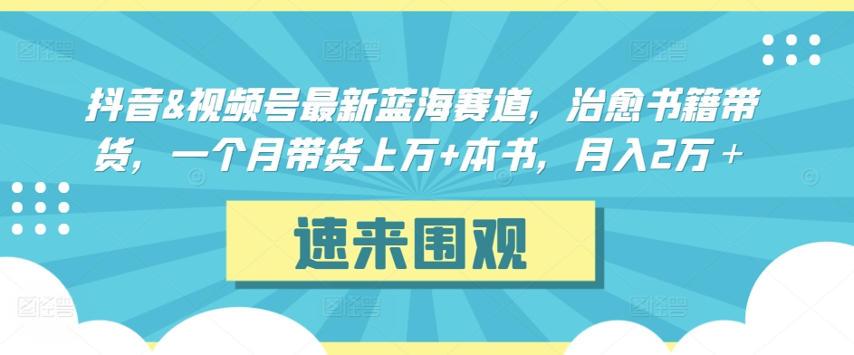 抖音&视频号最新蓝海赛道，治愈书籍带货，一个月带货上万+本书，月入2万＋_双星网创_创业赚钱_抖音教程_短视频教程