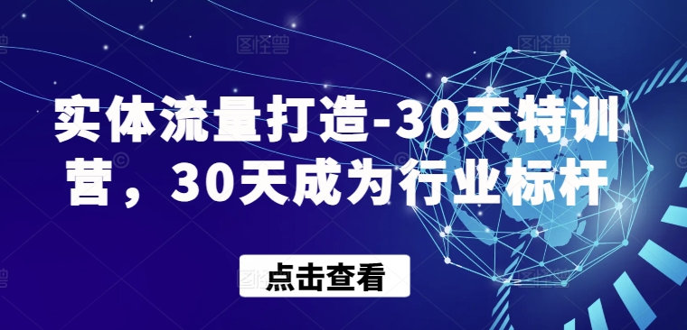 实体流量打造-30天特训营，30天成为行业标杆_双星网创_创业赚钱_抖音教程_短视频教程