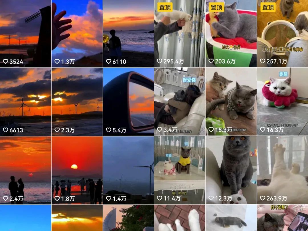 每天收入100+的副业：分享0粉账号变现+育儿直播+百家代书项目思路！_双星网创_创业赚钱_抖音教程_短视频教程