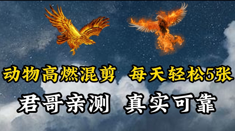 动物超燃混剪，每天轻松5张，剪辑简单大家爱看_双星网创_创业赚钱_抖音教程_短视频教程
