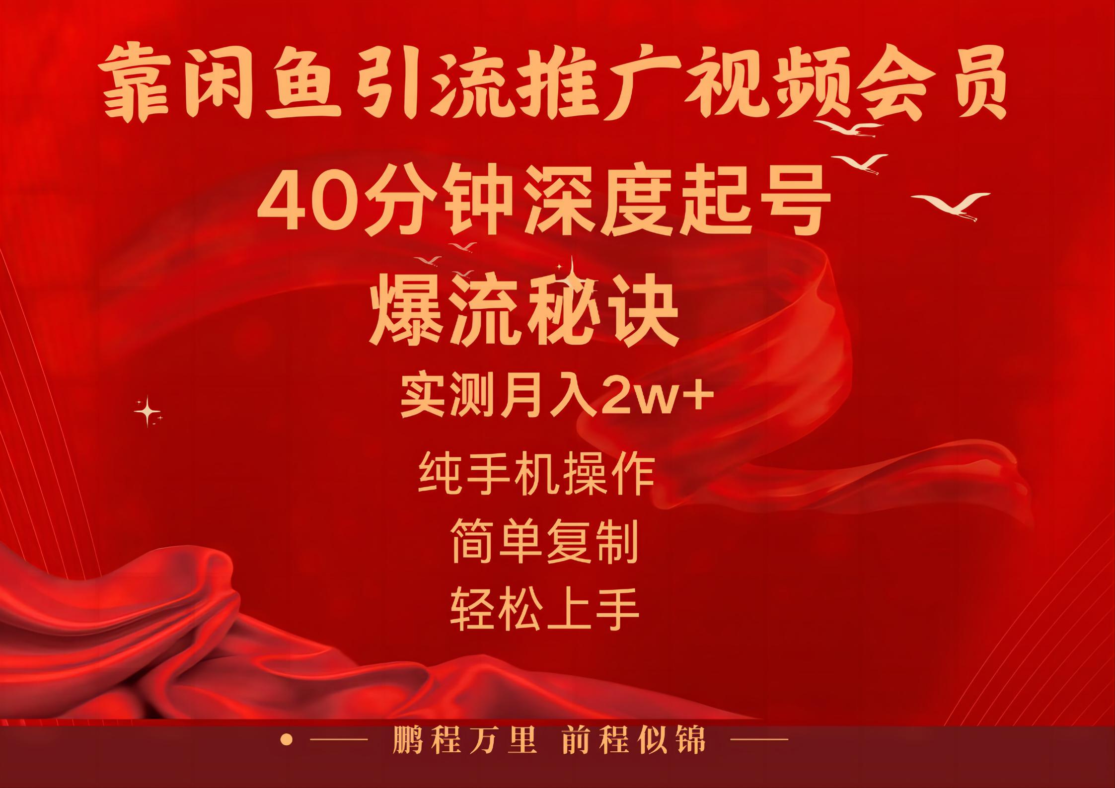 闲鱼暴力引流推广视频会员，能做到日入2W+，操作简单_双星网创_创业赚钱_抖音教程_短视频教程