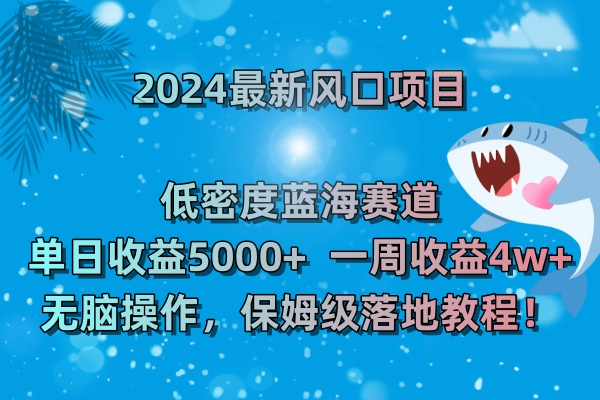 2024最新风口项目 低密度蓝海赛道，日收益5000+周收益4w+ 无脑操作_双星网创_创业赚钱_抖音教程_短视频教程