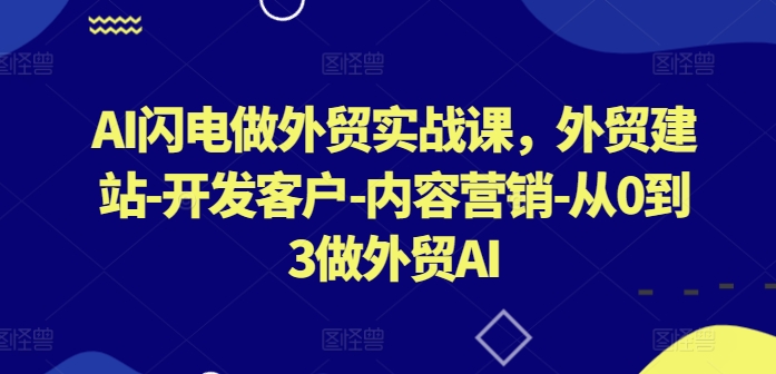 AI闪电做外贸实战课，​外贸建站-开发客户-内容营销-从0到3做外贸AI(更新)_双星网创_创业赚钱_抖音教程_短视频教程