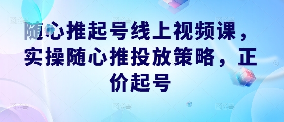 随心推起号线上视频课，实操随心推投放策略，正价起号_双星网创_创业赚钱_抖音教程_短视频教程
