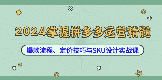 2024掌握拼多多运营精髓：爆款流程、定价技巧与SKU设计实战课_双星网创_创业赚钱_抖音教程_短视频教程